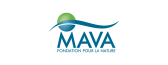 Mava Foundation