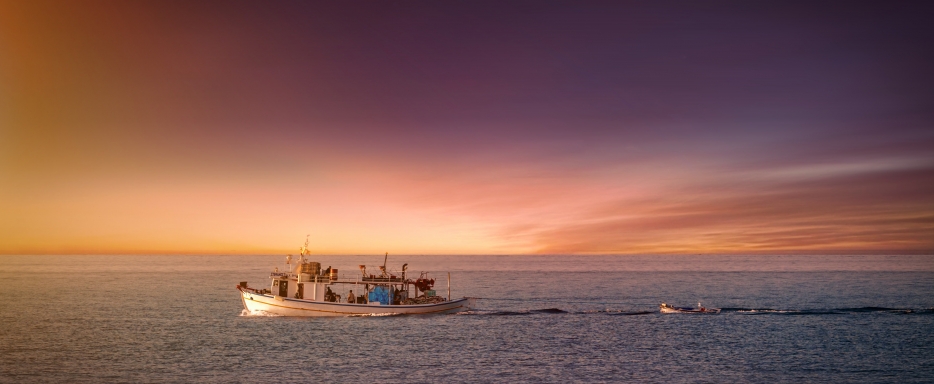 Identifying legal gaps to accelerate fishing sector transition