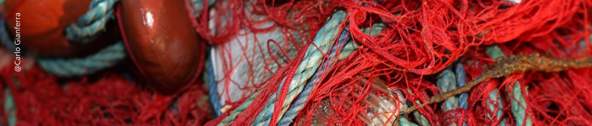 Sustainable small-scale fisheries Cover