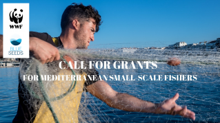 Sustainable small-scale fisheries image #1