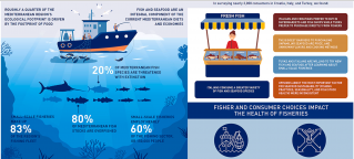Seafood Ecological Foodprint image #3