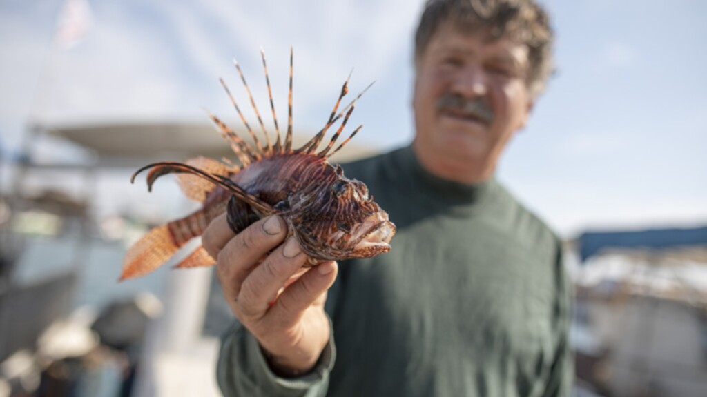spotlight project cyprus promotion sustainable seafood choices
