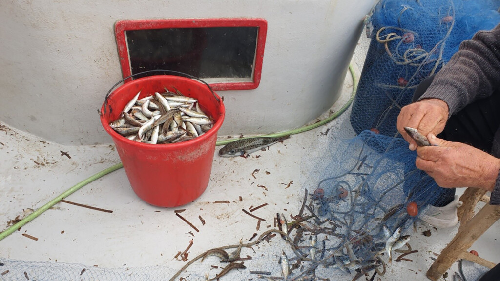 cyprus fisher net bucket