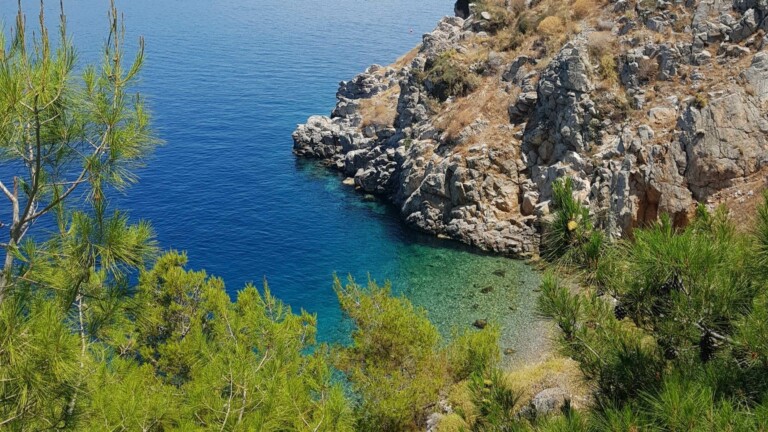 hpa grant together for the med