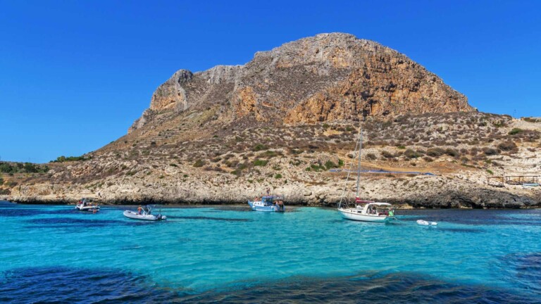 study marine megafauna bycatch sicily