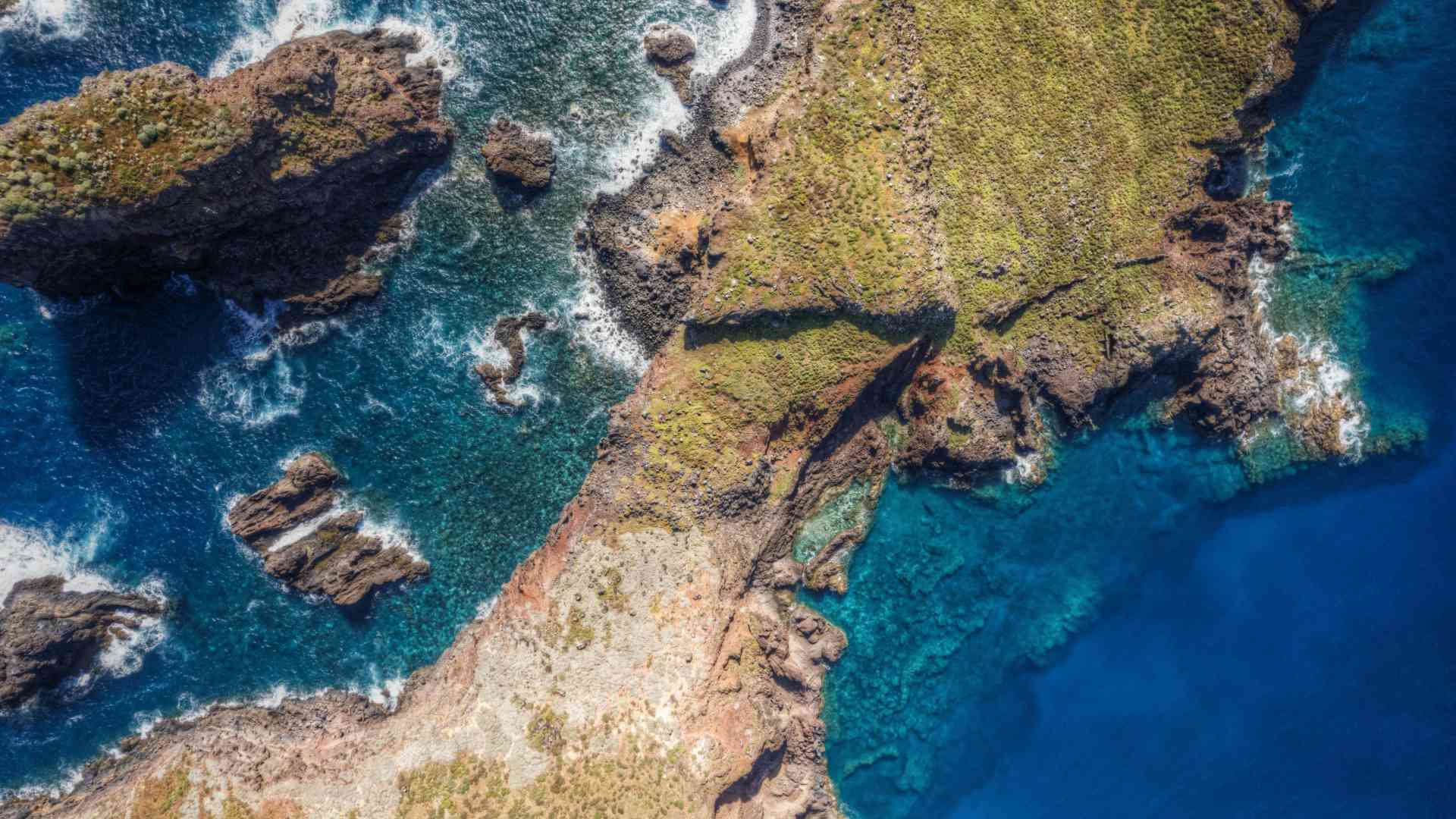 together for the med webinar oecm main image