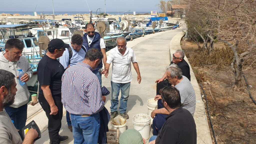 bluemove fishing shelter cyprus liopetri