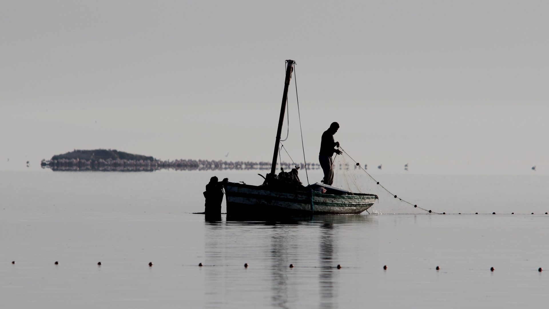 image project support programme development hpas 1