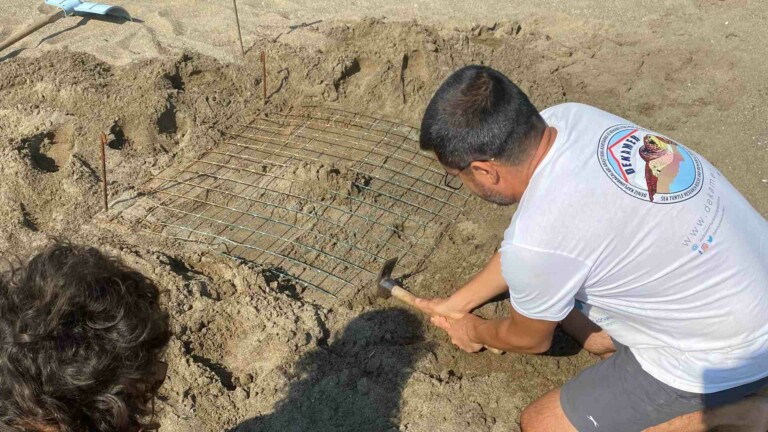 image project support programme development hpas 2