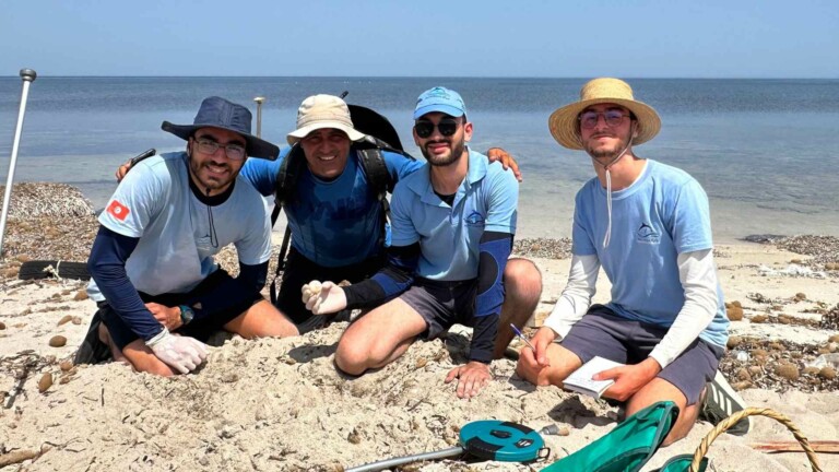 image project support programme development hpas 3