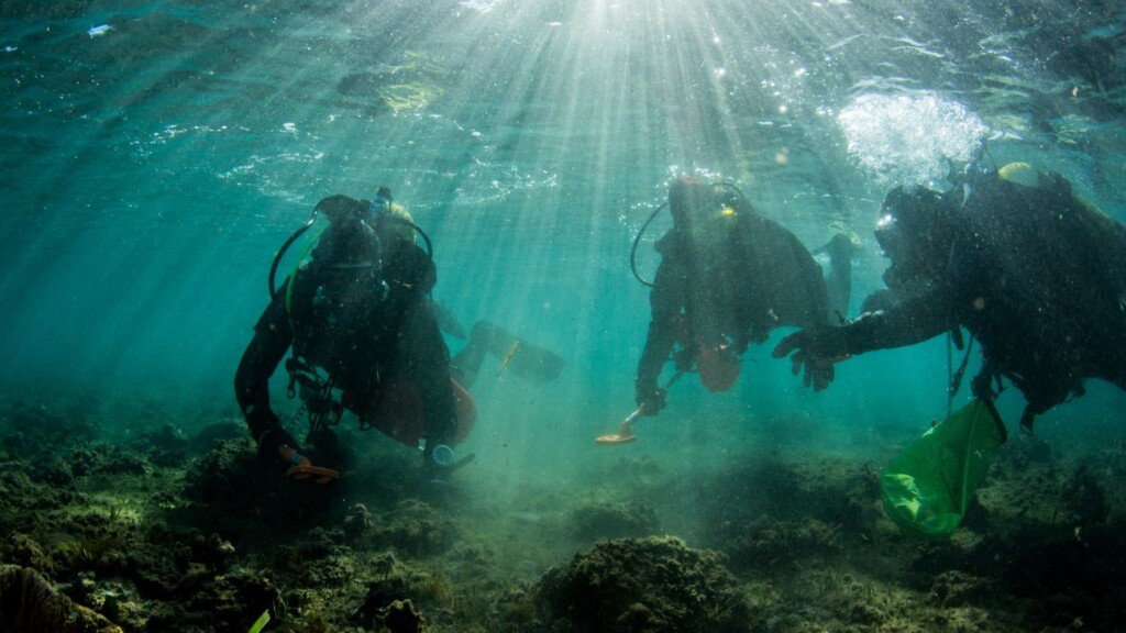 image project support programme development hpas asociacion hippocampus