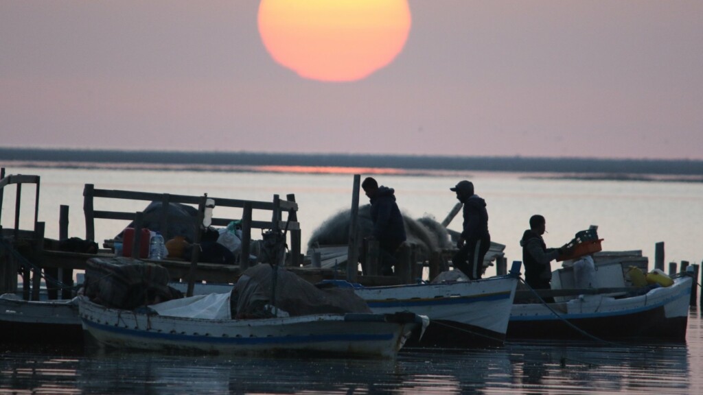 image project support programme development hpas association continuite generations