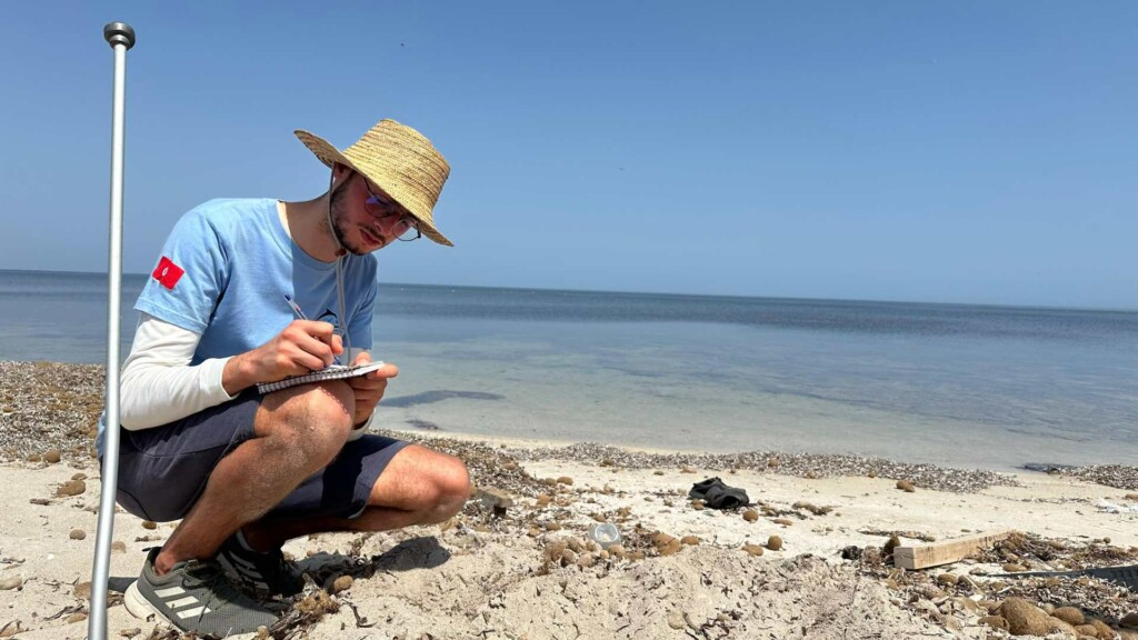 image project support programme development hpas notre grand bleu