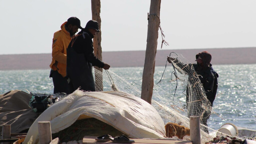 image project support programme development hpas omar almukhtar university