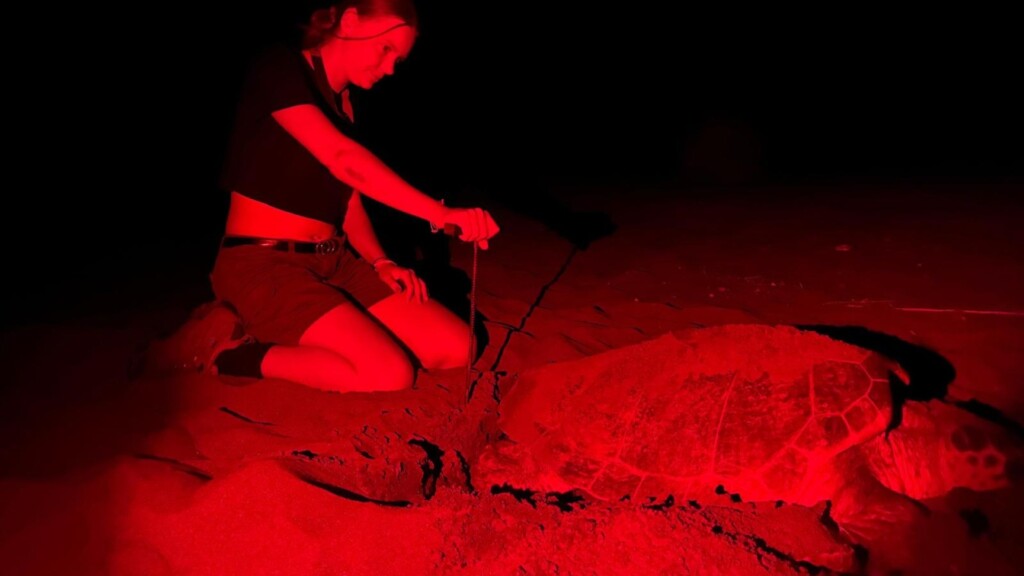 image project support programme development hpas pamukkale science center association