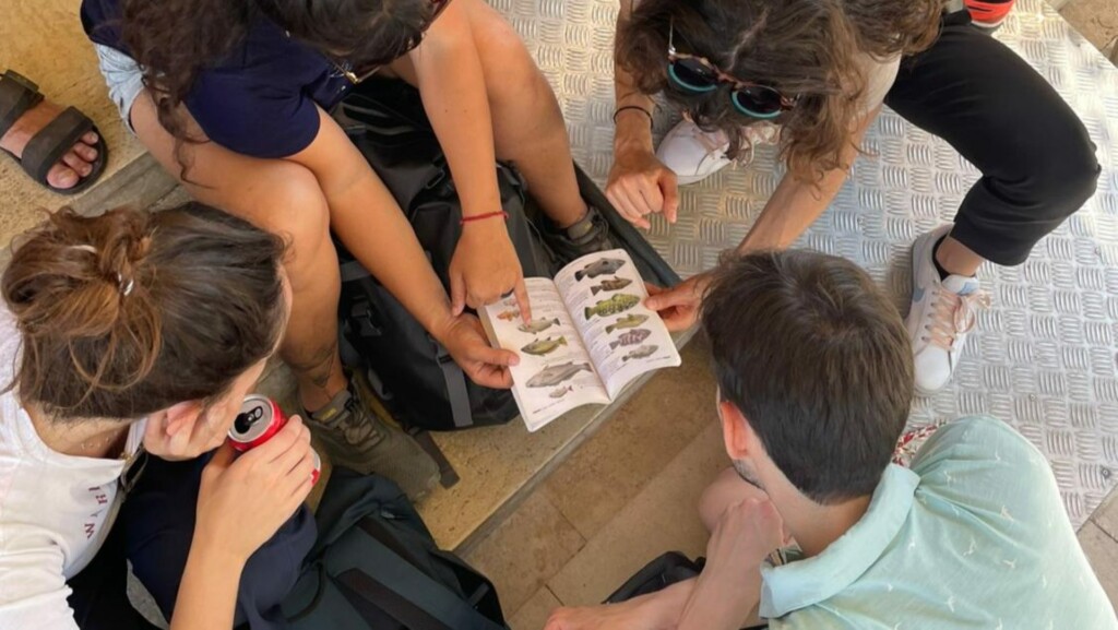 together for the med 2026 training highly protected areas group work