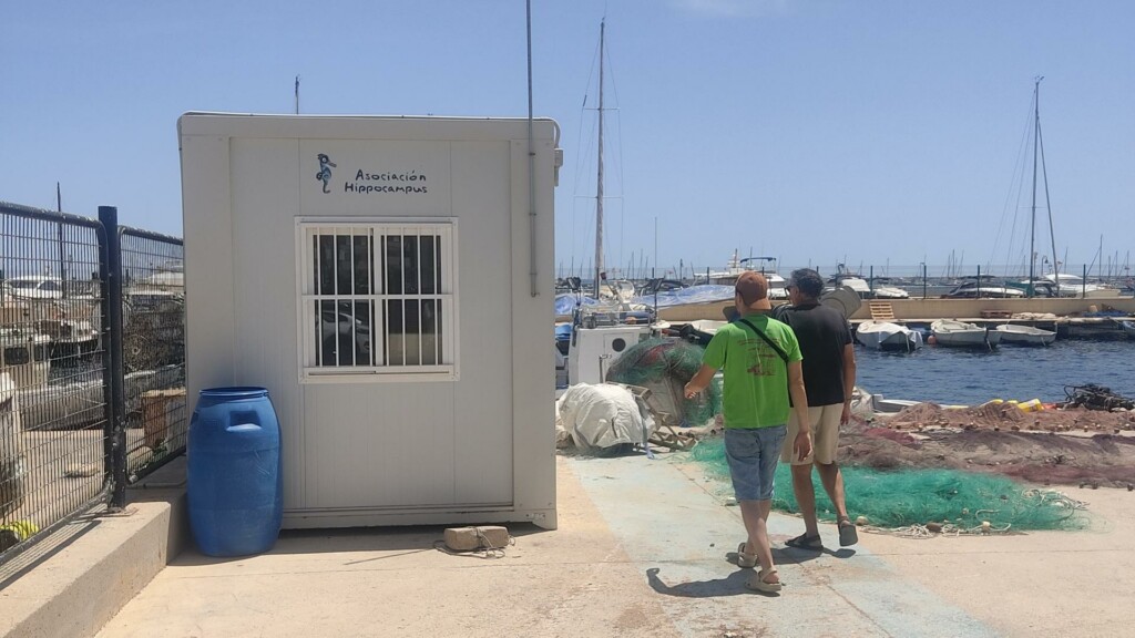 hippocampus associacion mar menor spain