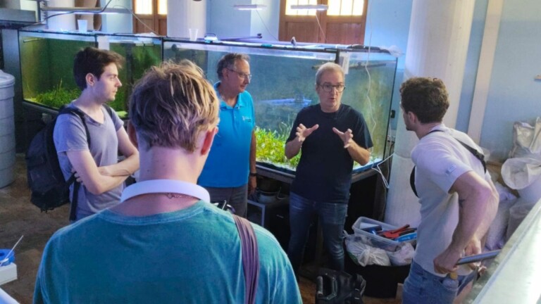 hippocampus association mar menor spain site laboratory visit