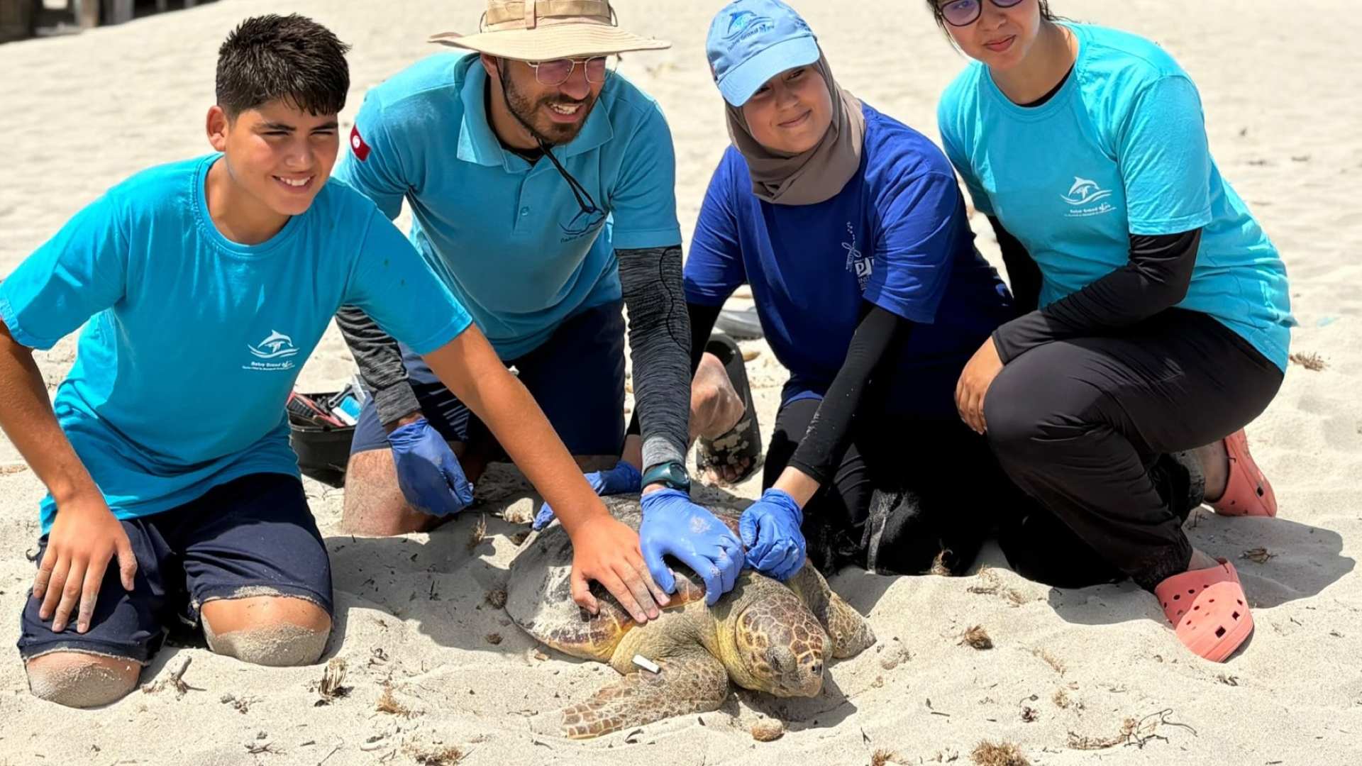 notre grand bleu turtle kuriat islands tunisia